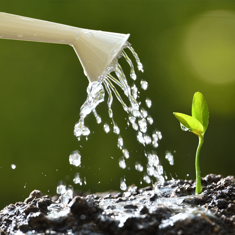 Tiên phong trong việc chăm sóc sức khỏe bằng các sản phẩm tự nhiên có chất lượng vượt trội Tiên phong trong việc chăm sóc sức khỏe bằng các sản phẩm tự nhiên có chất lượng vượt trội