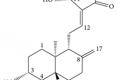 Tổng quan về hoạt chất Andrographolide