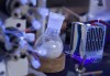 Con đường sinh tổng hợp của artemisinin (artemisinin biosynthesis)